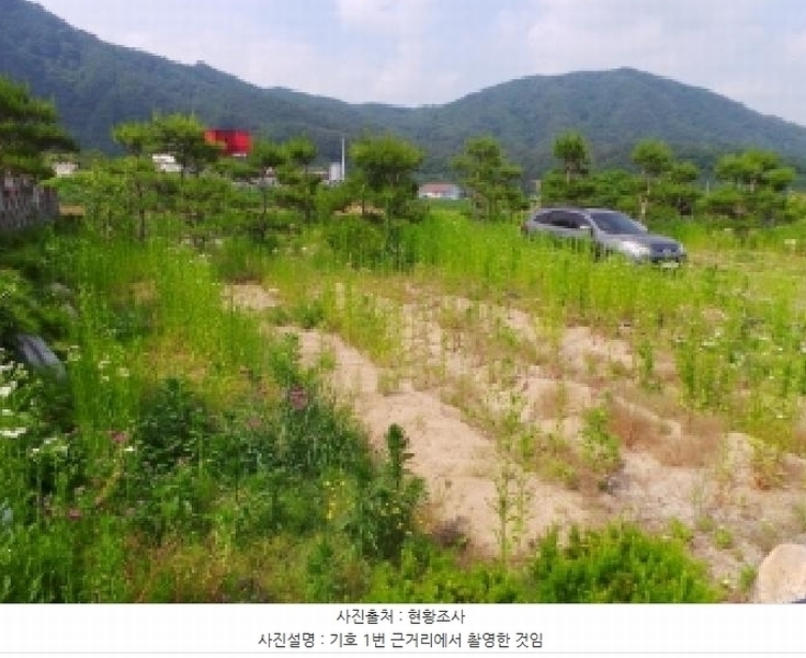 2025타경783 강원특별자치도 평창군 평창읍 도돈리 19-10 농지 경매 이미지
