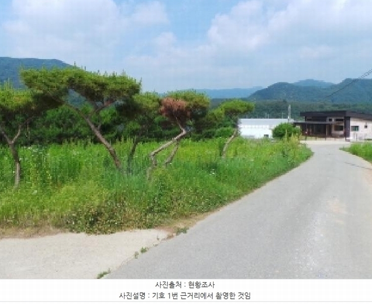 2025타경783 강원특별자치도 평창군 평창읍 도돈리 19-10 농지 경매 이미지