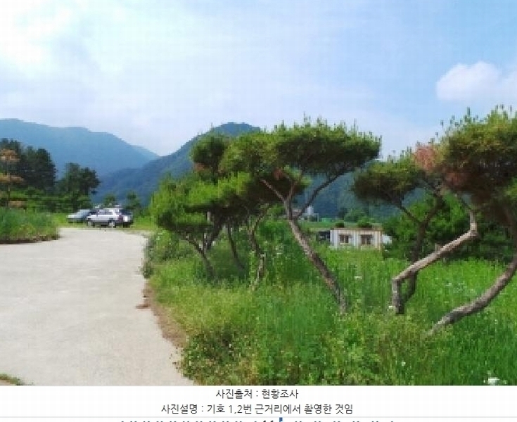 2025타경783 강원특별자치도 평창군 평창읍 도돈리 19-10 농지 경매 이미지