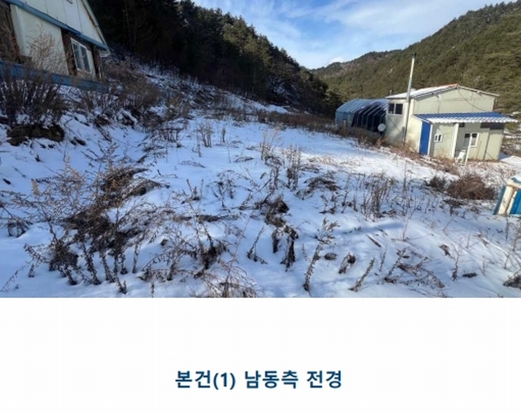 2025타경30197 강원특별자치도 정선군 임계면 도전리 431-1 농지 경매 이미지