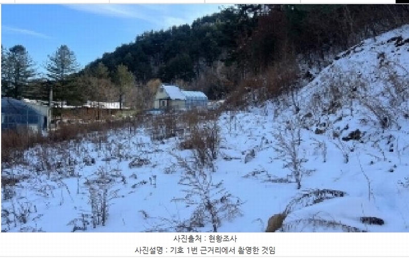 2025타경30197 강원특별자치도 정선군 임계면 도전리 431-1 농지 경매 이미지