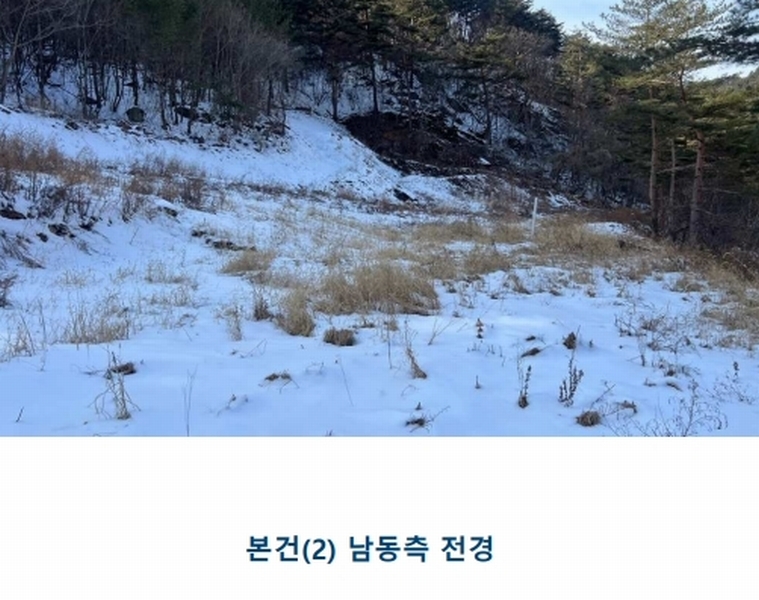 2025타경30197 강원특별자치도 정선군 임계면 도전리 431-1 농지 경매 이미지