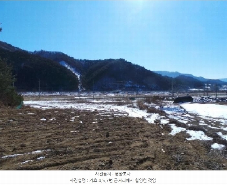 2025타경30272 강원특별자치도 평창군 진부면 상진부리 5-3 농지 경매 이미지