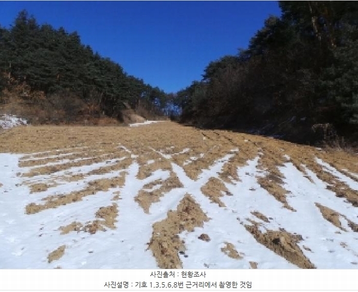 2025타경30272 강원특별자치도 평창군 진부면 상진부리 5-3 농지 경매 이미지