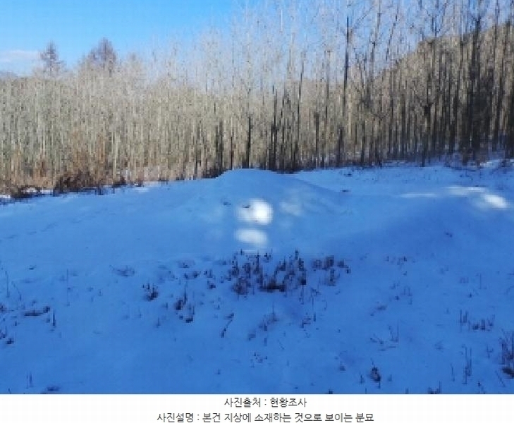 2025타경30369 강원특별자치도 평창군 평창읍 종부리 8 농지 경매 이미지