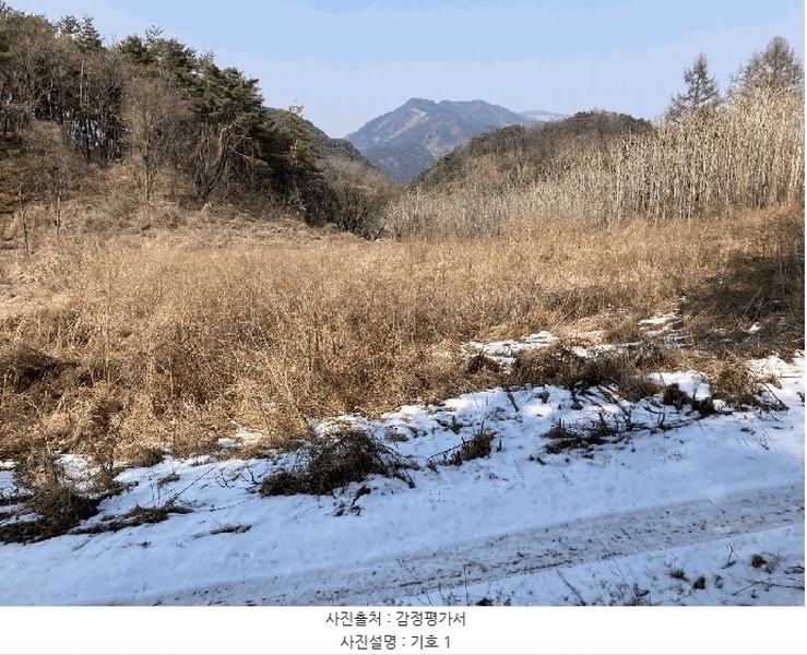 2025타경30369 강원특별자치도 평창군 평창읍 종부리 8 농지 경매 이미지