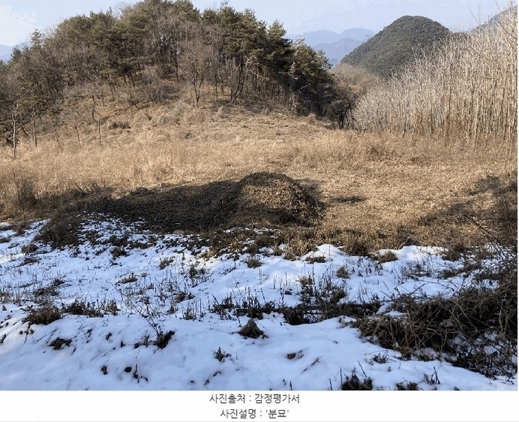 2025타경30369 강원특별자치도 평창군 평창읍 종부리 8 농지 경매 이미지