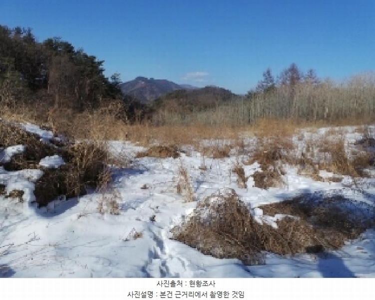2025타경30369 강원특별자치도 평창군 평창읍 종부리 8 농지 경매 이미지