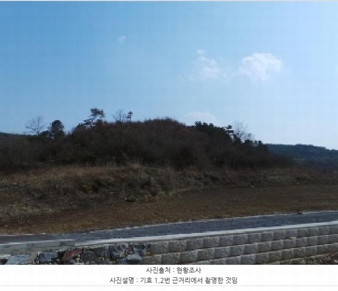 2025타경30377 강원특별자치도 영월군 주천면 신일리 산412 임야 경매 이미지