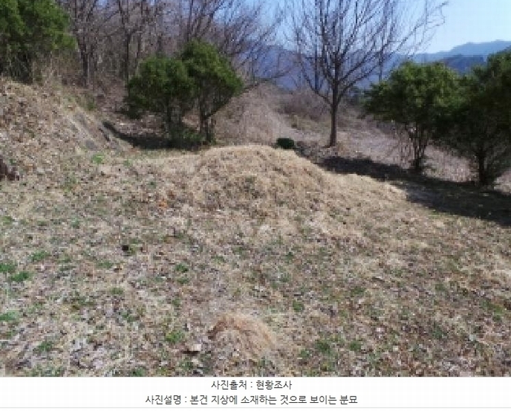 2025타경30404 강원특별자치도 정선군 북평면 문곡리 373 농지 경매 이미지