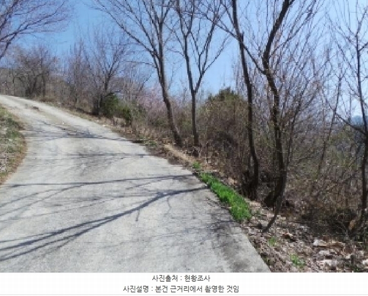 2025타경30404 강원특별자치도 정선군 북평면 문곡리 373 농지 경매 이미지