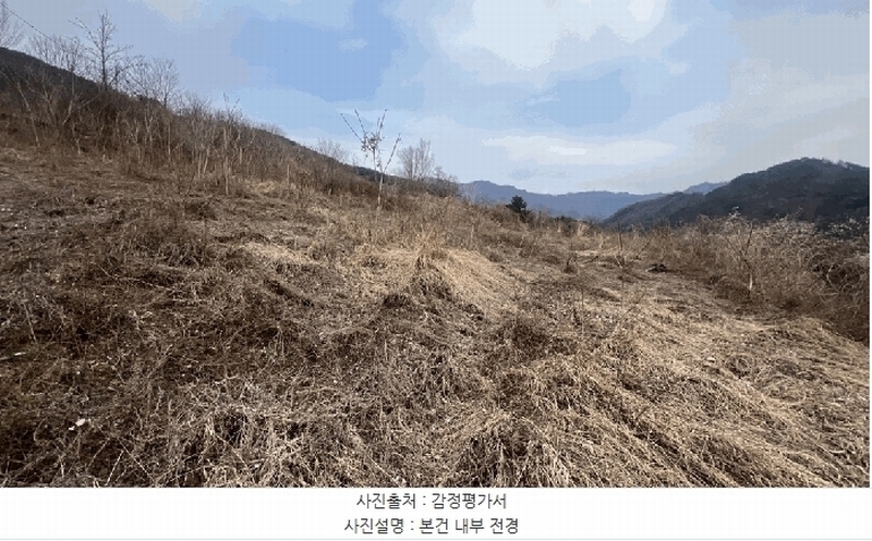 2025타경30404 강원특별자치도 정선군 북평면 문곡리 373 농지 경매 이미지