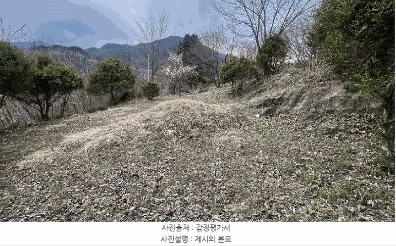 2025타경30404 강원특별자치도 정선군 북평면 문곡리 373 농지 경매 이미지