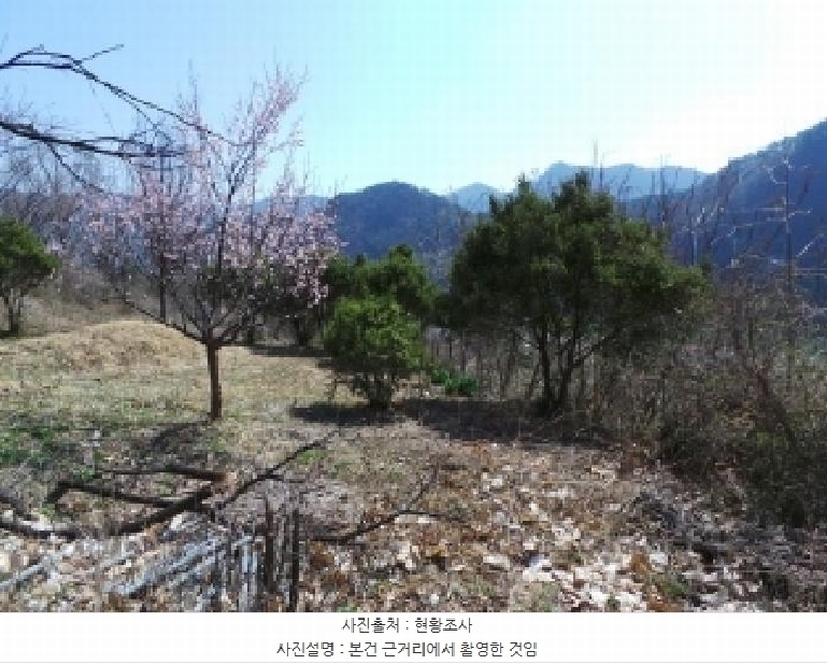 2025타경30404 강원특별자치도 정선군 북평면 문곡리 373 농지 경매 이미지