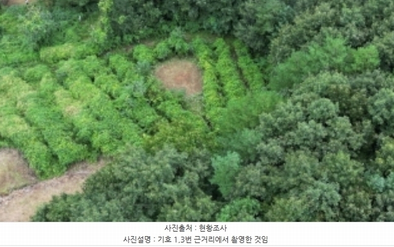 2023타경1423 강원특별자치도 정선군 북평면 남평리 531-2 과수원 경매 이미지