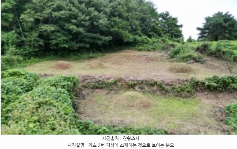 2023타경1423 강원특별자치도 정선군 북평면 남평리 531-2 과수원 경매 이미지