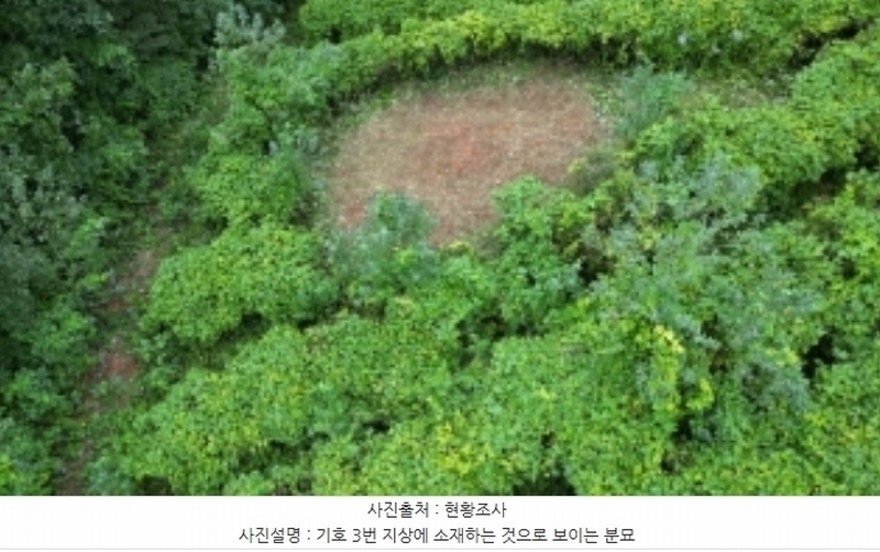 2023타경1423 강원특별자치도 정선군 북평면 남평리 531-2 과수원 경매 이미지
