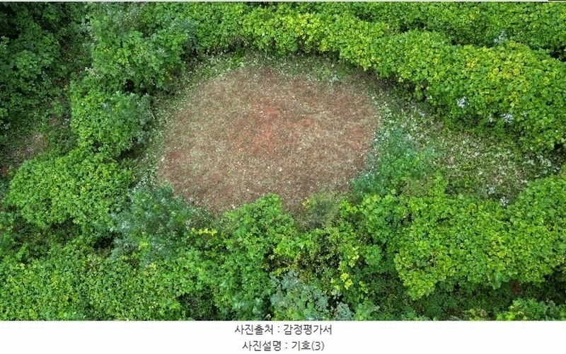 2023타경1423 강원특별자치도 정선군 북평면 남평리 531-2 과수원 경매 이미지