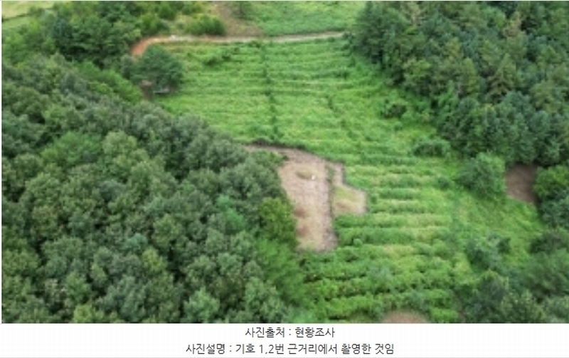 2023타경1423 강원특별자치도 정선군 북평면 남평리 531-2 과수원 경매 이미지