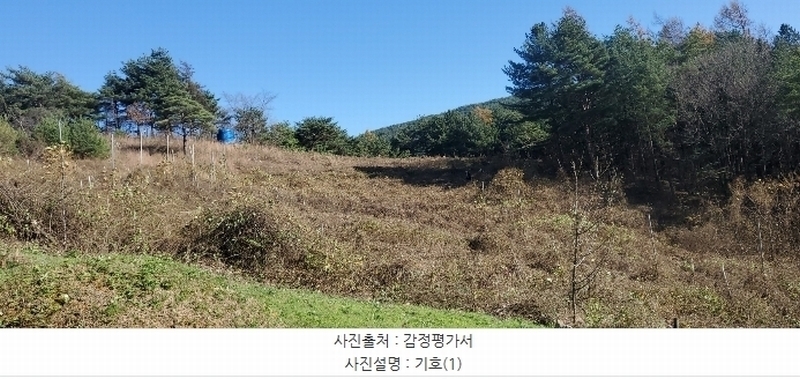 2023타경1423 강원특별자치도 정선군 북평면 남평리 531-2 과수원 경매 이미지