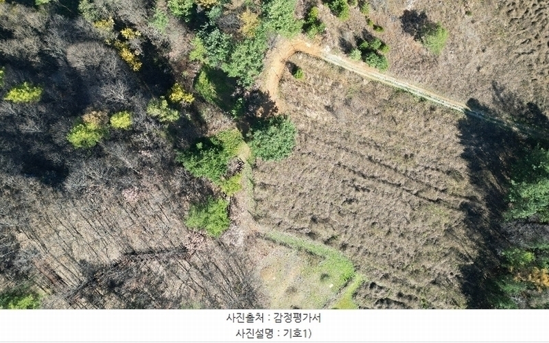 2023타경1423 강원특별자치도 정선군 북평면 남평리 531-2 과수원 경매 이미지