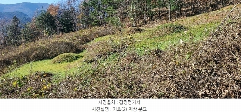 2023타경1423 강원특별자치도 정선군 북평면 남평리 531-2 과수원 경매 이미지