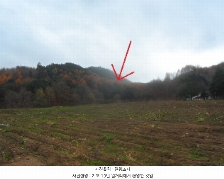 2023타경1935 강원특별자치도 평창군 봉평면 진조리 72-11 임야 경매 이미지