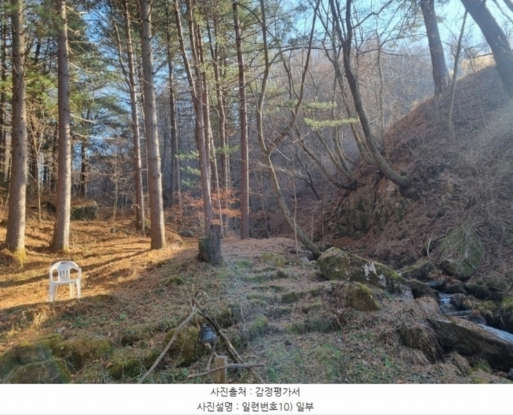 2023타경1935 강원특별자치도 평창군 봉평면 진조리 72-11 임야 경매 이미지