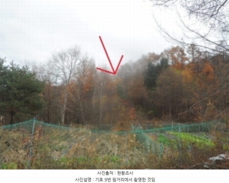 2023타경1935 강원특별자치도 평창군 봉평면 진조리 72-11 임야 경매 이미지