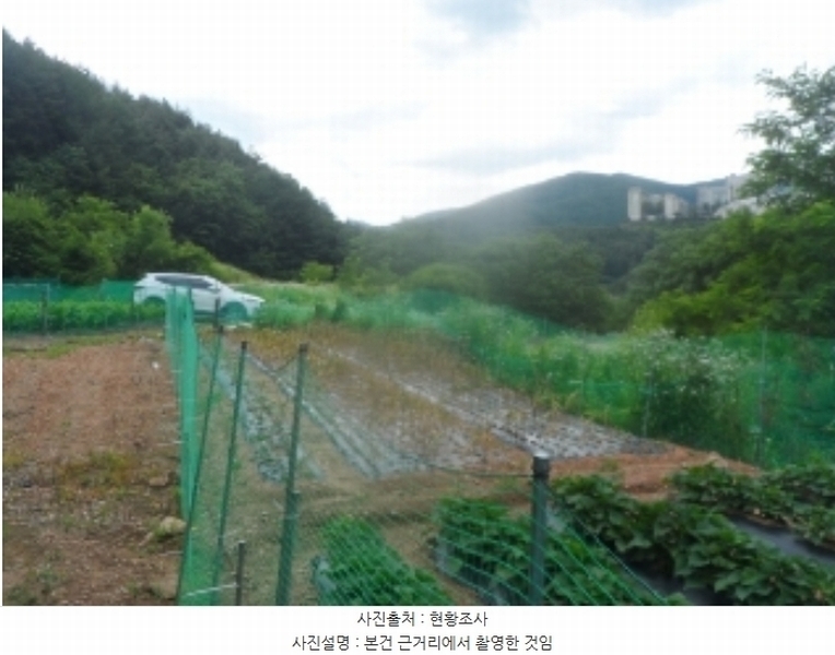 2024타경1031 강원특별자치도 정선군 고한읍 고한리 145 대지 경매 이미지