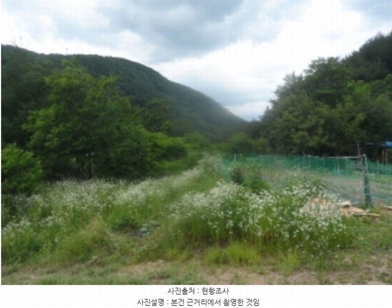 2024타경1031 강원특별자치도 정선군 고한읍 고한리 145 대지 경매 이미지