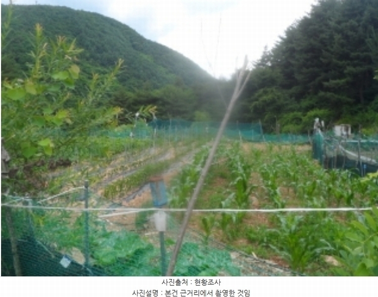 2024타경1031 강원특별자치도 정선군 고한읍 고한리 145 대지 경매 이미지