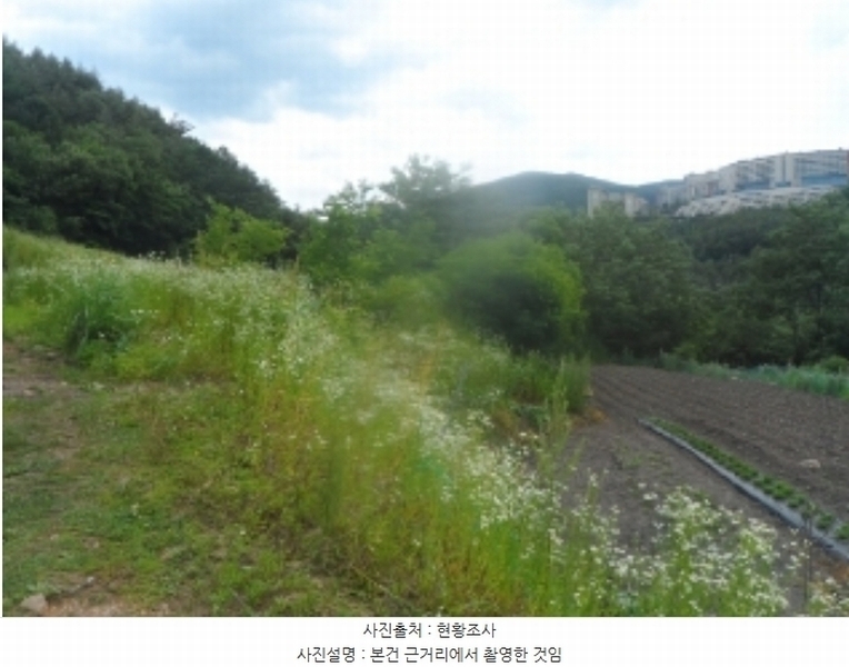 2024타경1031 강원특별자치도 정선군 고한읍 고한리 145 대지 경매 이미지