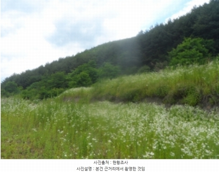 2024타경1031 강원특별자치도 정선군 고한읍 고한리 145 대지 경매 이미지