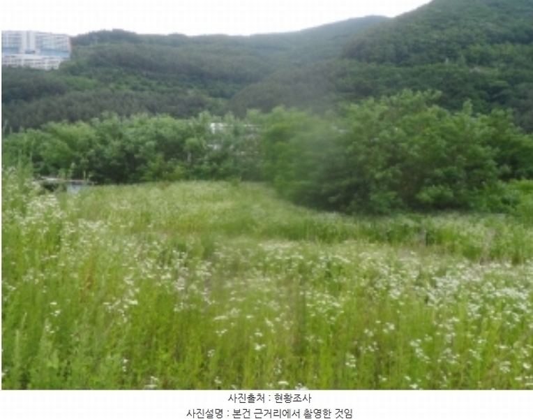 2024타경1031 강원특별자치도 정선군 고한읍 고한리 145 대지 경매 이미지