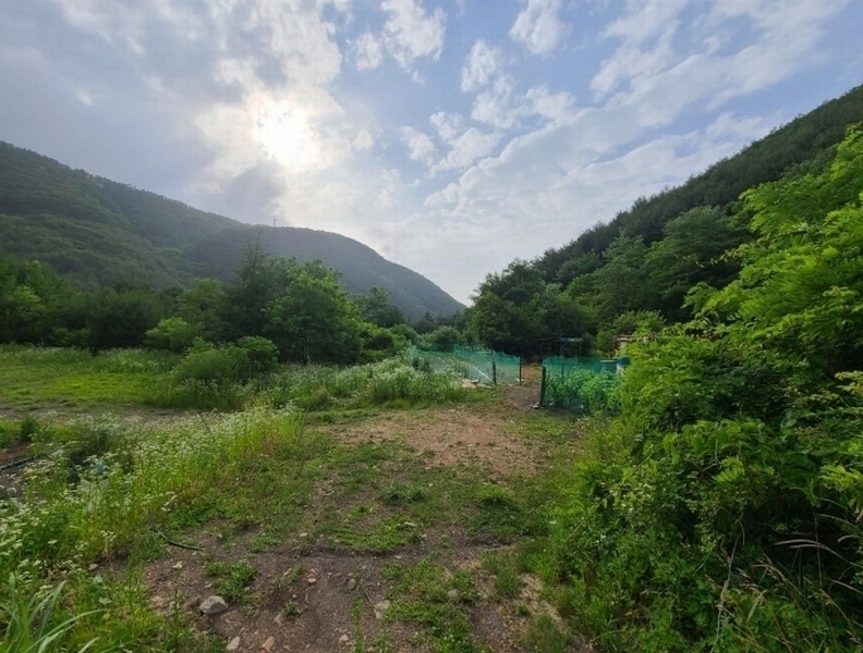 2024타경1031 강원특별자치도 정선군 고한읍 고한리 145 대지 경매 이미지