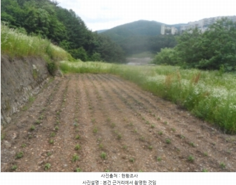 2024타경1031 강원특별자치도 정선군 고한읍 고한리 145 대지 경매 이미지