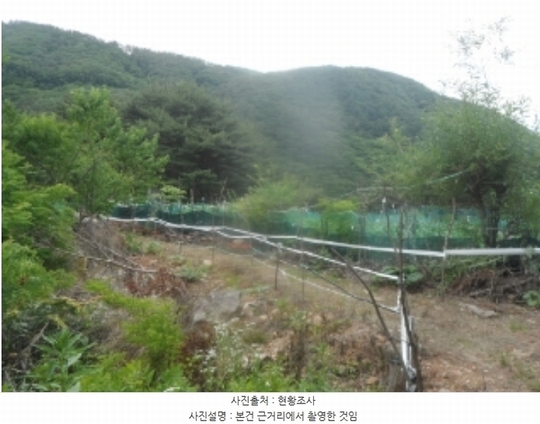 2024타경1031 강원특별자치도 정선군 고한읍 고한리 145 대지 경매 이미지