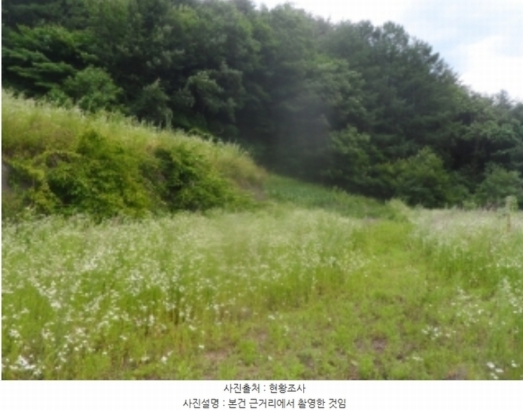 2024타경1031 강원특별자치도 정선군 고한읍 고한리 145 대지 경매 이미지