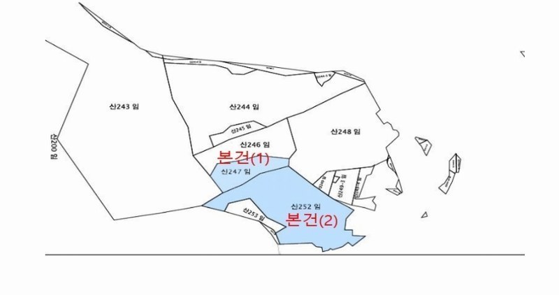 2024타경1352 강원특별자치도 평창군 진부면 마평리 산247 임야 경매 이미지