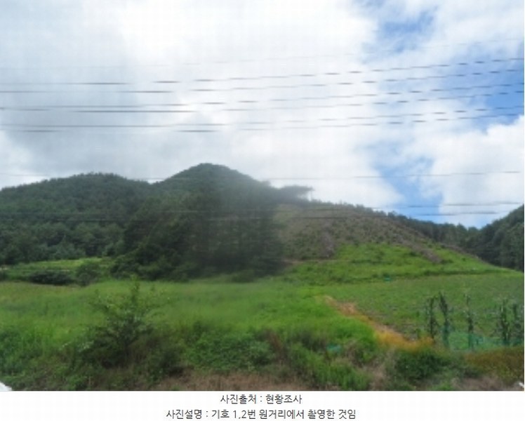 2024타경1352 강원특별자치도 평창군 진부면 마평리 산247 임야 경매 이미지
