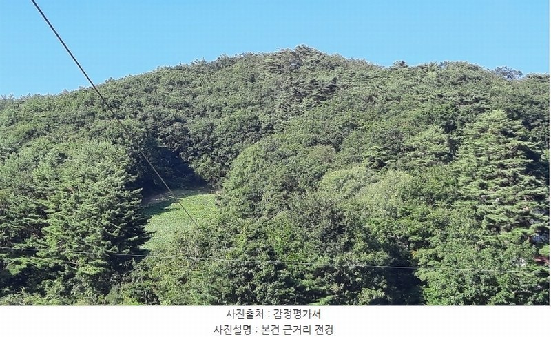 2024타경1437 강원특별자치도 평창군 대관령면 차항리 491-15 임야 경매 이미지