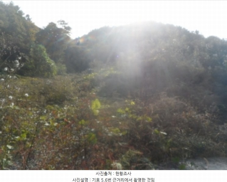 2024타경1673 강원특별자치도 영월군 김삿갓면 외룡리 402 공장 경매 이미지