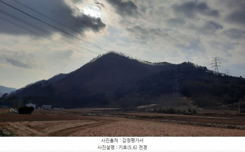 2024타경1949 강원특별자치도 정선군 임계면 임계리 산425 임야 경매 이미지