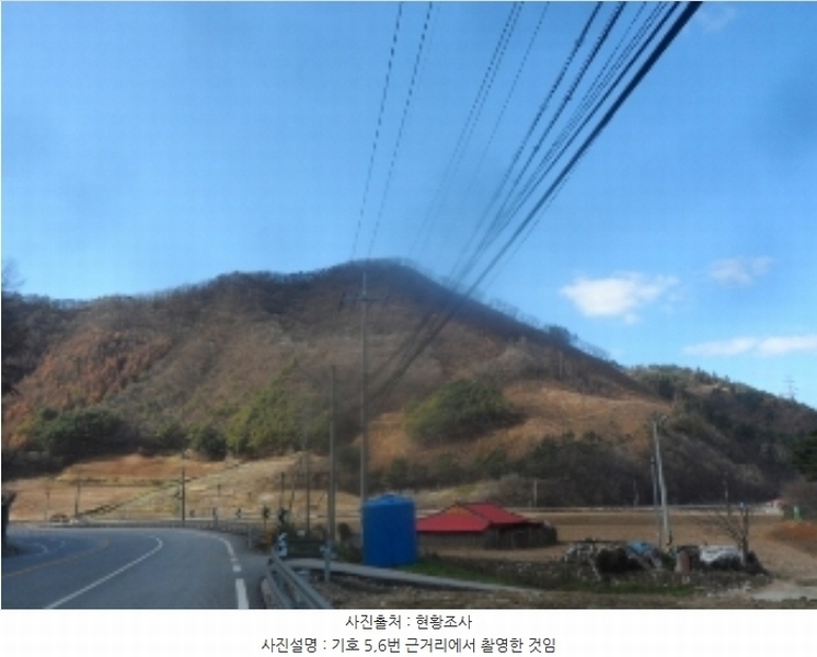 2024타경1949 강원특별자치도 정선군 임계면 임계리 산425 임야 경매 이미지