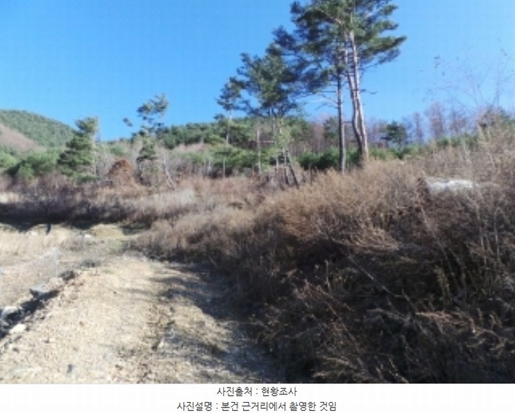 2024타경2089 강원특별자치도 정선군 여량면 유천리 355-1 농지 경매 이미지