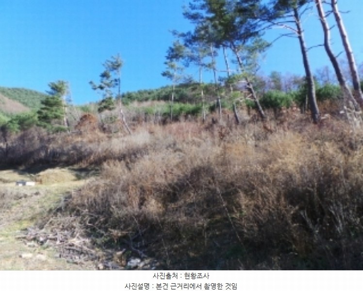 2024타경2089 강원특별자치도 정선군 여량면 유천리 355-1 농지 경매 이미지