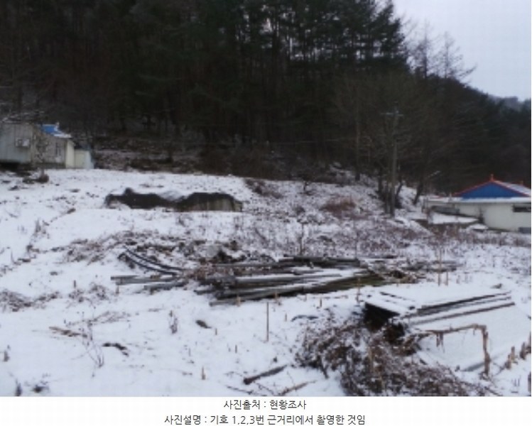 2024타경2133 강원특별자치도 정선군 사북읍 사북리 272-4 농지 경매 이미지