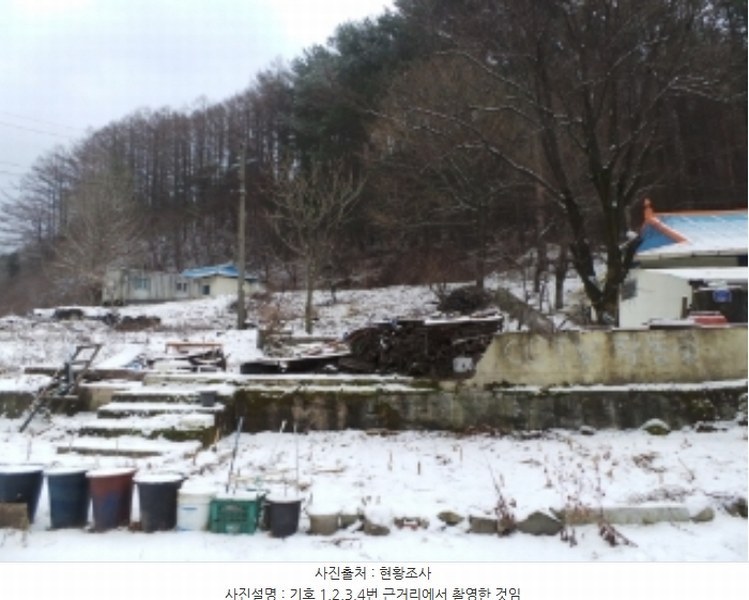 2024타경2133 강원특별자치도 정선군 사북읍 사북리 272-4 농지 경매 이미지
