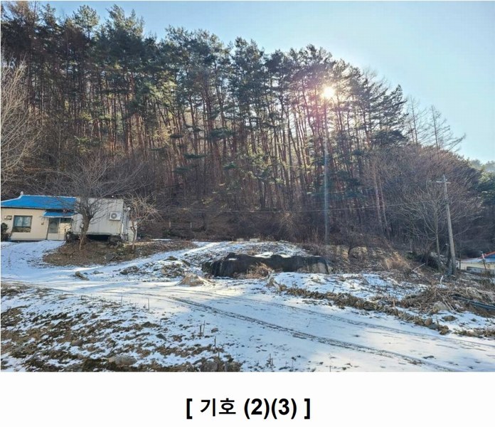 2024타경2133 강원특별자치도 정선군 사북읍 사북리 272-4 농지 경매 이미지